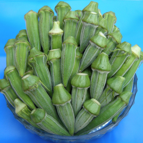 Okra seeds «Oak wood»