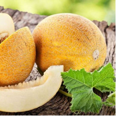 Melon seeds «Temptation» F1