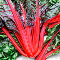 Chard seeds «Fantasy»