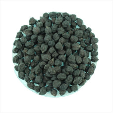 Chickpeas seeds «Black»