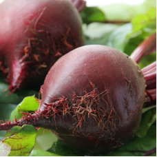 Beet seeds «Incomparable»