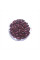 Bean seeds «Kalynka Nizhynska»