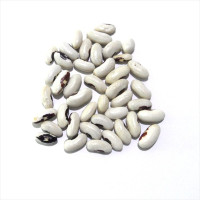 Насіння квасолі «Ластівка»