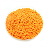 Насіння сочевиці червоної «Канадка»