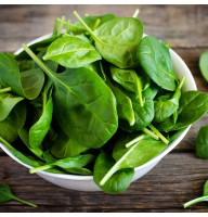 Spinach seeds «Boss»