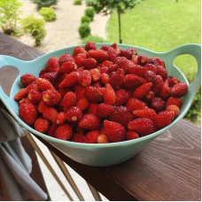 Strawberry seeds «Glitter of Stars»