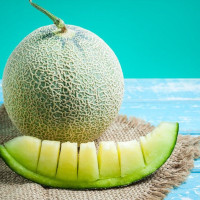 Насіння дині «Медова роса»
