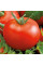 Насіння томату «Мобіл»