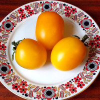 Семена томата «Де-Барао золотой»