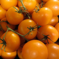 Насіння томату «Мармеладний»