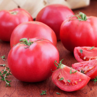 Tomato seeds «Pink Elephant»