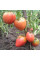 Tomato seeds «King of London»