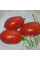 Насіння томату «Фарширувальний»