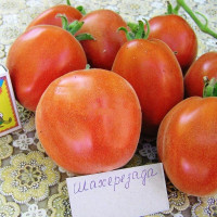 Tomato seeds «Scheherazade»