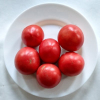 Tomato seeds «Pink Raffaello»
