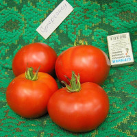 Tomato seeds «Super runner»