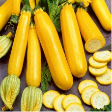 Squash seeds «Zolotynka»