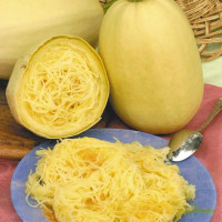 Squash seeds «Spaghetti»