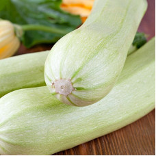 Squash seeds «Bilyk»