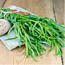 Tarragon seeds «Spicy»