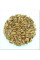 Fir Nordmann seeds