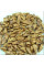 Fir Nordmann seeds