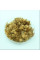 Sycamore oriental seeds