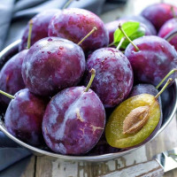 Plum seeds «Italian»