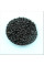 Privet common seeds