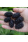 Mulberry black seeds «Black Baroness»