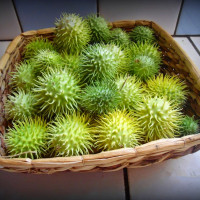 Насіння ангурії (антильського огірка)