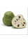 Cherimoya seeds