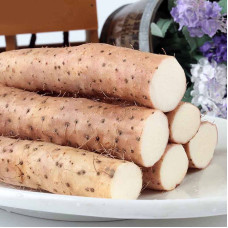 Chinese yam seeds