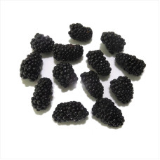 Blackberry thornless seeds «Triple Crown»