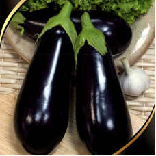 Eggplant seeds «BBQ» F1