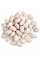 Bean seeds «Dryad»