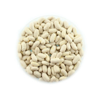 Bean seeds «Sonesta»