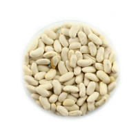 Насіння квасолі «Ксенія»