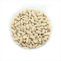 Насіння квасолі «Присадибна»