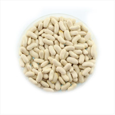 Bean seeds «Homestead»