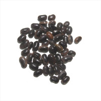 Насіння квасолі «Мармурова»