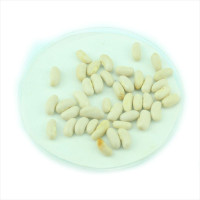 Насіння квасолі «Бергольд»