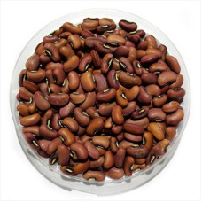 Cowpea seeds «Macarena»