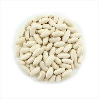 Bean seeds «Jutta»