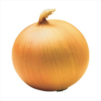 Семена лука «Донецкий золотистый»