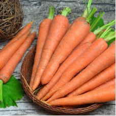 Carrot seeds «Sweet winter»