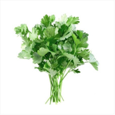 Parsley seeds «Olomunska Rew» (all-season)