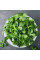 Salad seeds «Verde de Cambrai»