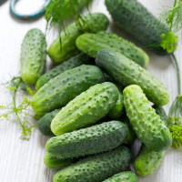 Cucumber seeds «Source»