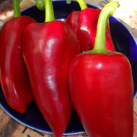 Семена перца сладкого «Морозко»